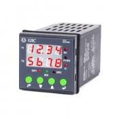 GIC - Programmable Digital Timer